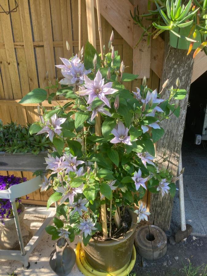 阿内勒La Fossette住宿加早餐旅馆 外观 照片